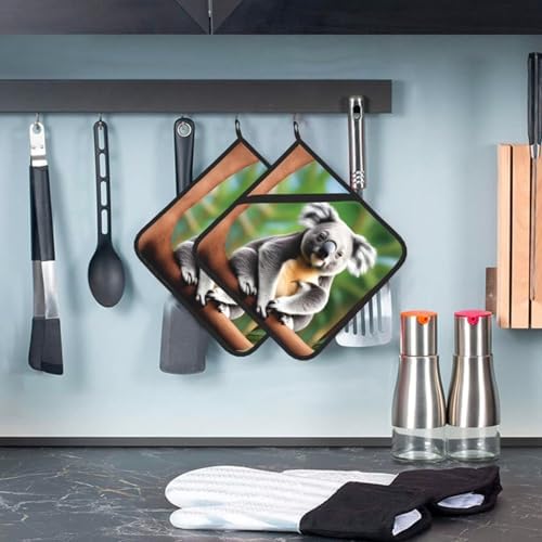 Funny Koalas Potholders 2-Pack Heat Resistant