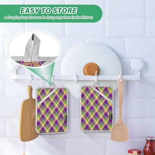 Mardi Gras Plaid Pot Holder 2-Pack