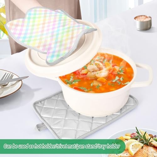 Double Rainbow Gingham Potholder Set for Kitchen Protection