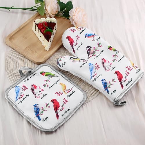 Pioneer Woman Oven Mitts Pot Holders Set
