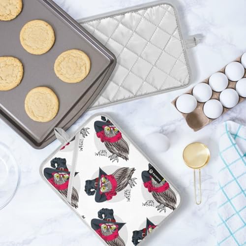 OurVII 2-Piece Dressed Funny Owls Pot Holder Set