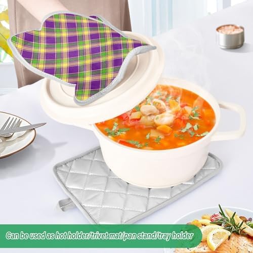Mardi Gras Plaid Pot Holder 2-Pack