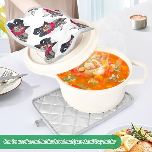 OurVII 2-Piece Dressed Funny Owls Pot Holder Set