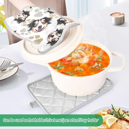 Dalzium Potholder Set of 2 Heat Resistant Oven Mitts