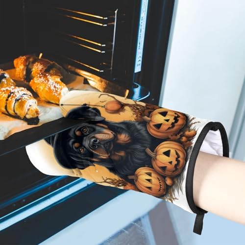 Trick or Treat Halloween Oven Mitt Set