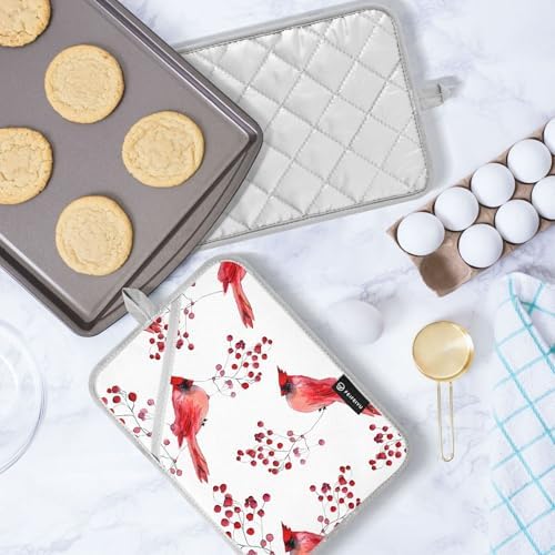 Berry Cardinal Bird Hot Pad Pot Holder Set of 2 1