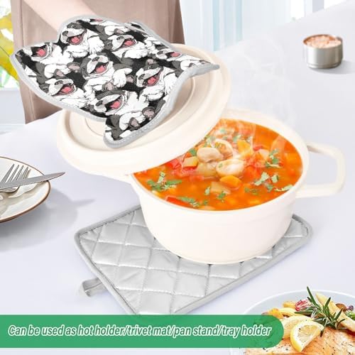 Dalzium Funny Boston Terrier Potholder Set of 2