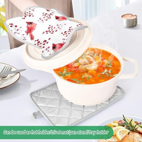 Berry Cardinal Bird Hot Pad Pot Holder Set of 2 1