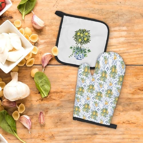 Chinoiserie Oven Mitts Set