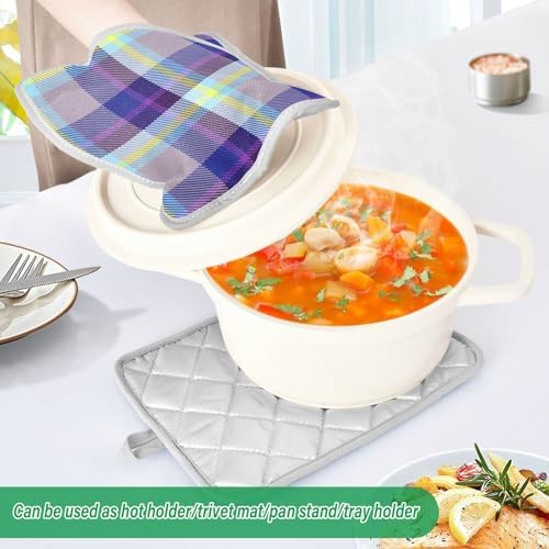 Kcldeci Madras Plaid Heat-Resistant Potholders for Cooking Baking