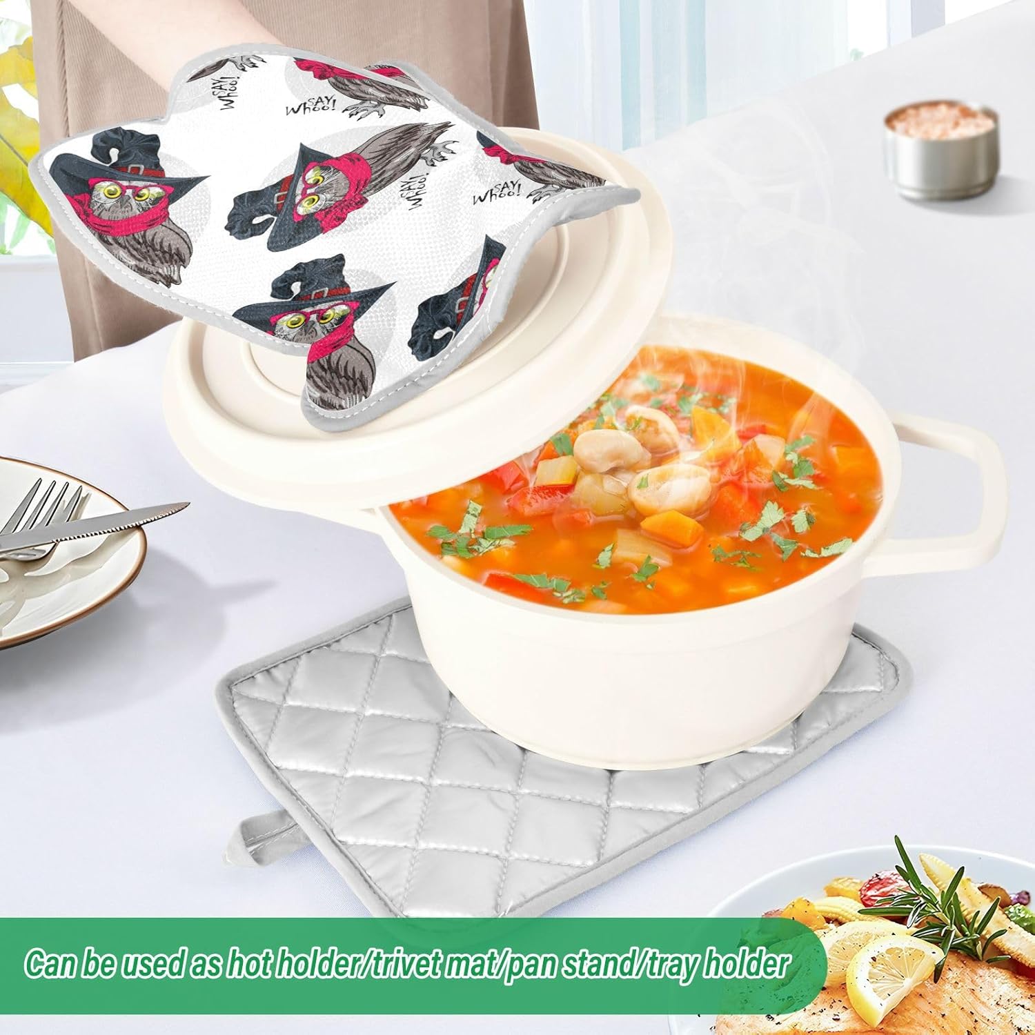 OurVII 2-Piece Dressed Funny Owls Pot Holder Set