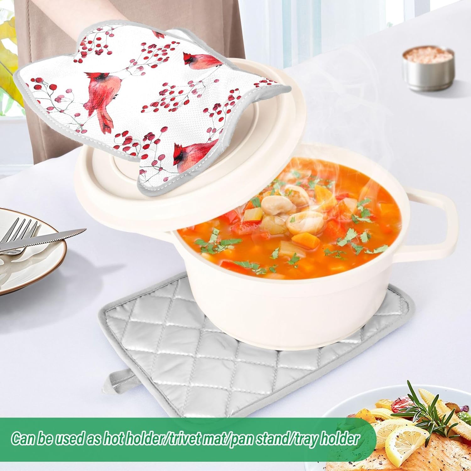 Berry Cardinal Bird Hot Pad Pot Holder Set of 2 1