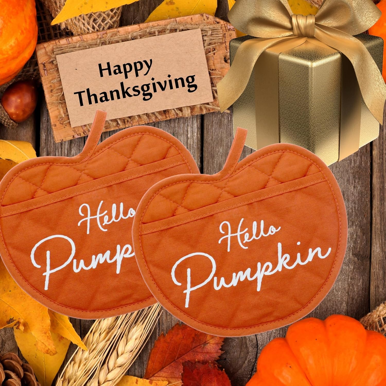 Hello Pumpkin Pot Holders